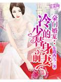 豪門婚寵：冷少的替身前妻