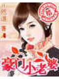豪門小老婆