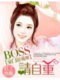 豪門遊戲ⅲ:boss,請自重
