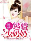豪門通緝：逃婚少奶奶