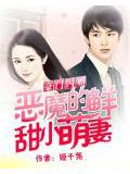 豪門閃婚:惡魔的鮮甜小萌妻