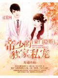豪門隱婚：帝少的獨傢俬寵