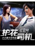 護花司機