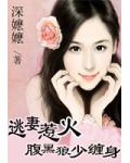 逃妻惹火：腹黑狼少纏身