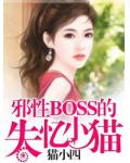 邪性BOSS的失憶小貓