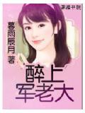 醉上軍老大