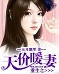 重生之天價暖妻
