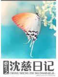 重生之沈慈日記