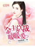 金主總裁暖暖愛