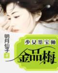 金品梅：少女鑑寶師