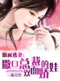 銀面逃妻：撒旦總裁的雙面嬌娃
