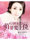 閃婚蜜愛：萌妻要上位