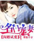 閃婚試愛.名門寵妻