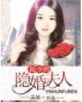 陸少的隱婚夫人