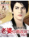 雪豹冷情:老婆,你敢改嫁?