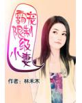 霸寵,限制級小妻