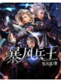 暴風兵王