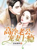 高冷老公寵妻上癮