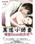 黑道小嬌妻：腹黑BOSS別太壞