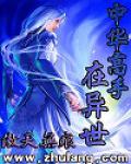 中華高手在異世