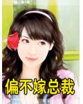 偏不嫁總裁