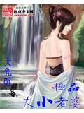 極品大小老婆系統