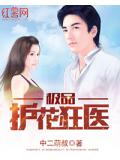極品護花狂醫