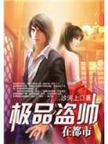 極品盜帥在都市