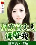 外交官大人,請娶我