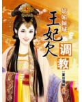 妖媚傾城：王妃欠調教