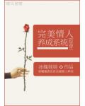 完美情人養成系統