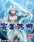 完美防禦