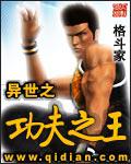 異世之功夫之王