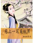 惹上一窩美妖男