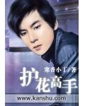 護花高手