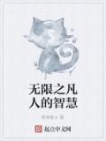 無限之凡人的智慧
