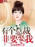 有個總裁非要娶我