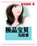 極品寶貝無敵妻