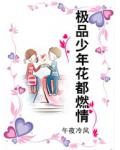 極品少年花都燃情