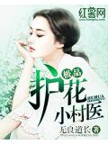 極品護花小村醫