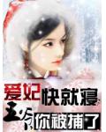 愛妃快就寢：王爺，你被捕了