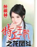 特工王妃之龍鳳鬥