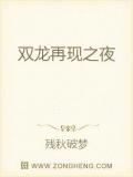 雙龍再現之夜