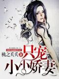 只寵小小嬌妻