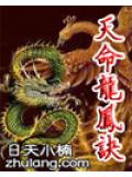 天命龍鳳訣