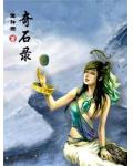 奇石錄