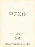 平天印傳