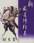 新武道修行錄