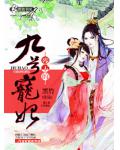 殘王的九號愛妃