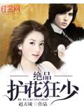 絕品護花狂少
